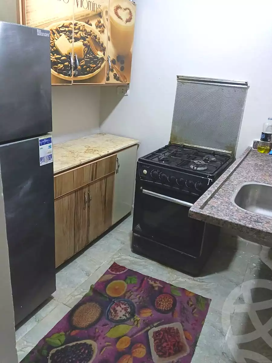 https://aqarmap.com.eg/en/listing/7369052-for-rent-cairo-el-sheikh-zayed-city-el-hay-el-hady-ashaer-lmrw