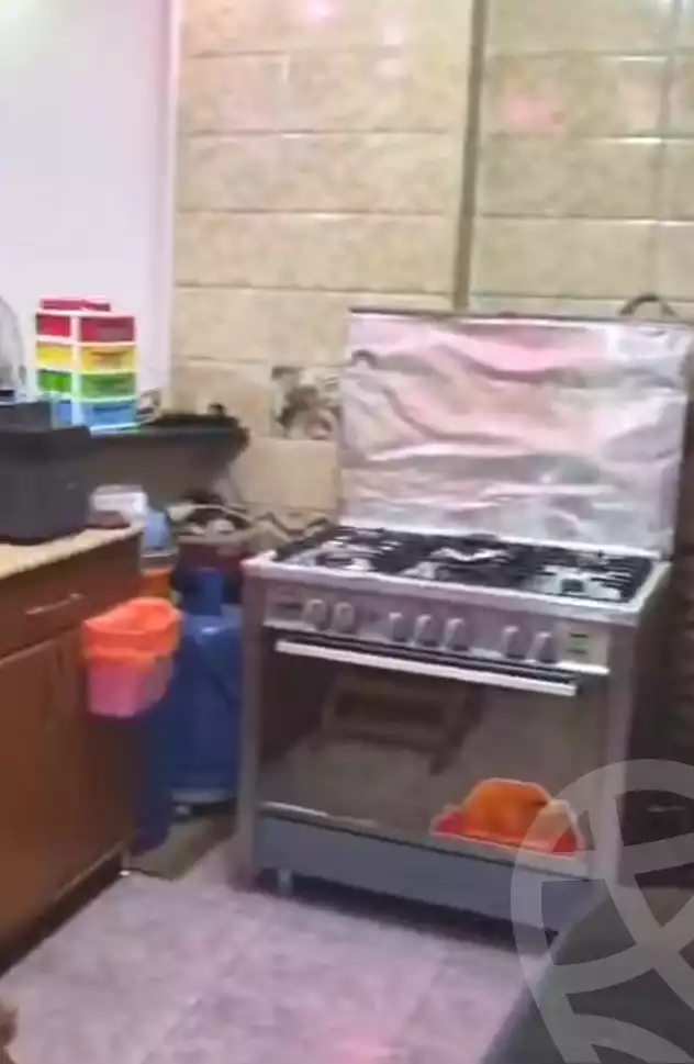 https://aqarmap.com.eg/ar/listing/7370683-for-sale-cairo-ain-shams-mnshy-lthryr