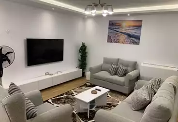 Furnished Apartment For rent - 3 rooms - floor 13