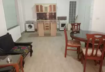 https://aqarmap.com.eg/en/listing/4363053-for-rent-cairo-new-cairo-el-ahyaa-first-neighborhood-street-1