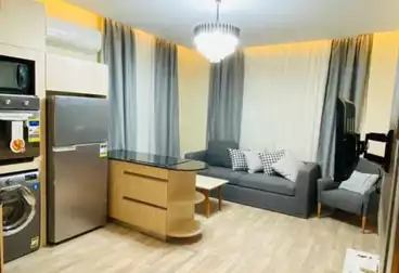 Furnished Apartment For rent in Leila Compound