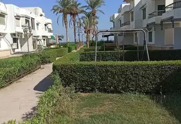 Villas For rent in Canary Beach 1 - Eshak Group