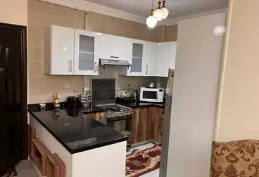 Furnished Apartment For rent in Lotus South