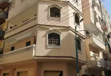 https://aqarmap.com.eg/ar/listing/4847343-for-sale-dakahlia-mansoura-el-mansoura-city-el-shennawy-st