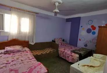 https://aqarmap.com.eg/en/listing/4941238-for-rent-alexandria-sydy-bshr