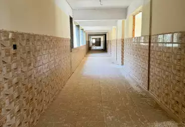 School For sale in Sohag City