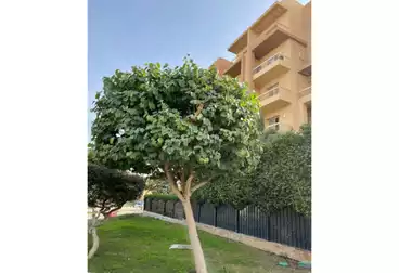 https://aqarmap.com.eg/en/listing/4951689-for-sale-cairo-6th-of-october-hadaeq-october-kmbwnd-fy-hdyq-ktwbr-ashgar-city