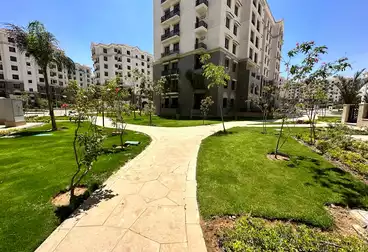 https://aqarmap.com.eg/en/listing/4952539-for-rent-cairo-new-administrative-capital-r7-celia-mntq-l-mrt-4