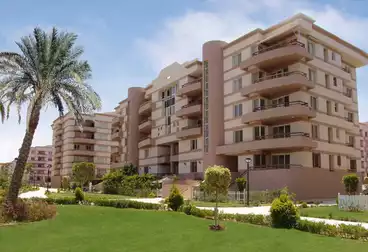 apartments for sale at el rehab city 224 sqm