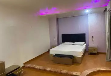 Furnished Apartment For rent in Malls and Markets