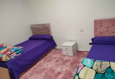 Furnished Apartment For rent in Malak Hefni St. 700