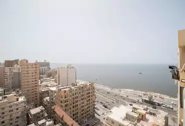 https://aqarmap.com.eg/en/listing/4898790-for-rent-alexandria-ibrahimia-tanees-st