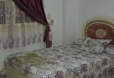 Furnished Apartment For rent in Lotus South