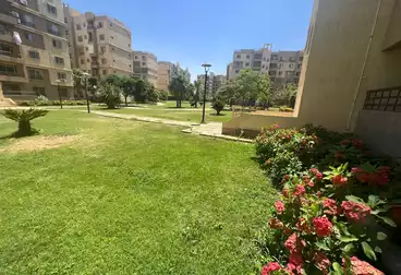 https://aqarmap.com.eg/en/listing/5030219-for-rent-cairo-new-cairo-madinaty-twelfth-zone-buildings