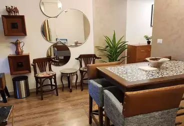 Luxury Furnished Hotel Apartment for Rent in B10