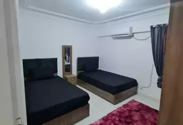 Furnished Apartment For rent in El-Gaish Rd St. 2500