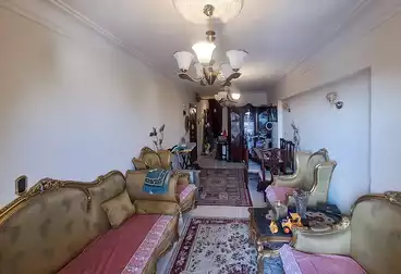 https://aqarmap.com.eg/en/listing/5045279-for-sale-alexandria-lsywf-gamila-abu-herid-st