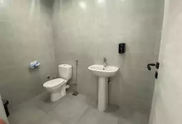 https://aqarmap.com.eg/ar/listing/5056753-for-rent-cairo-6th-of-october-compounds-the-lane-palm-hills