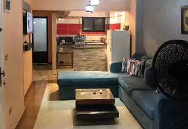 https://aqarmap.com.eg/en/listing/5059989-for-rent-alexandria-sydy-bshr-sydy-bshr-bhry-shr-khld-bn-lwlyd