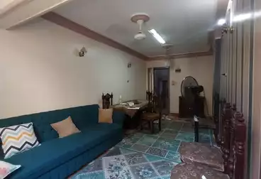 https://aqarmap.com.eg/ar/listing/5062200-for-sale-alexandria-miami-ibn-moeslh-al-arman-st