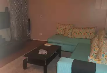 Fully Furnished 3 bedroom Apartment with private Garden