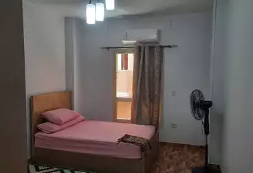 https://aqarmap.com.eg/ar/listing/5098568-for-rent-cairo-new-cairo-el-choueifat-al-shouyfat-st