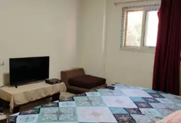 https://aqarmap.com.eg/en/listing/5098880-for-rent-cairo-mokattam-el-hadabah-el-wosta-7th-zone-street-11