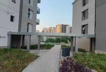 Apartment For Rent Fully Finished with AC/s at Zed West , Al Sheikh Zayed.