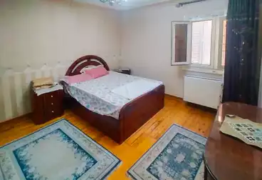 Furnished apartment for rent 200 m Al Asafra (Gamal Abdelnaser St.)