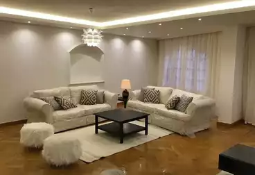 Elegant Apartment for Rent in Maadi