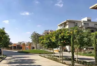Apartments For sale - 3 rooms - floor 1