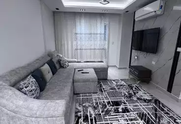 Furnished Apartment For rent - 2 rooms - floor 2