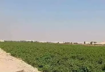 Farm For sale
