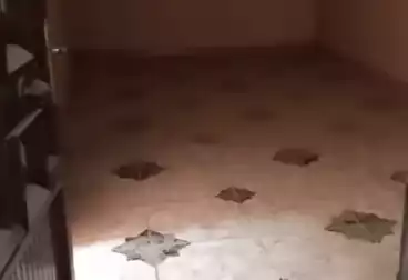 Apartments For rent - 3 rooms - floor 3