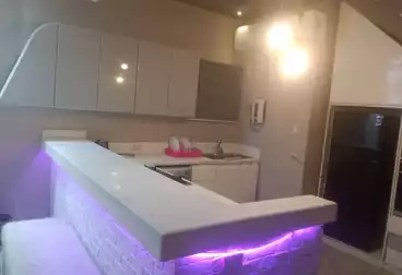 Duplex For rent - 2 rooms - floor 0