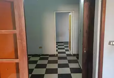 Apartments For rent - 2 rooms - floor 5