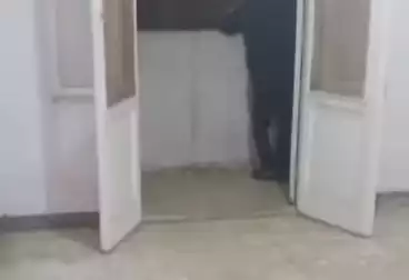 undefined undefined - 2 rooms - floor 6