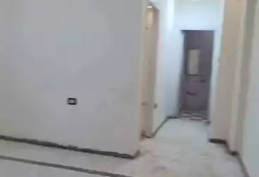 شقق للإيجار - 3 غرف - بالدور 1