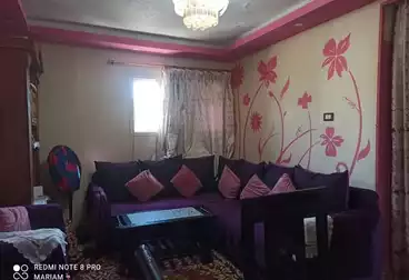 عقارات للإيجار - 2 غرف - بالدور 5