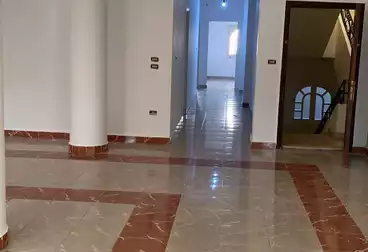 شقق للبيع - 3 غرف - بالدور 1