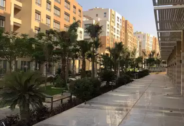 Apartments For sale - 3 rooms - floor 1