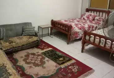 Furnished Apartment For rent - 2 rooms - floor 4