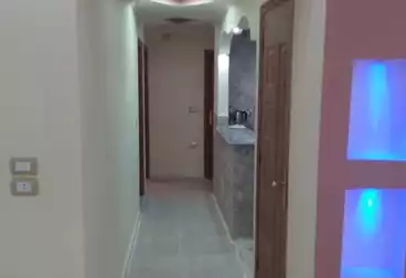 Apartments For rent - 3 rooms - floor 5