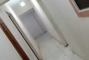 Apartments For rent - 3 rooms - floor 7