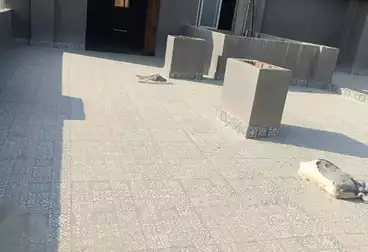 Apartments For sale - 3 rooms - floor 5