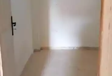 Apartments For rent - 3 rooms - floor 1