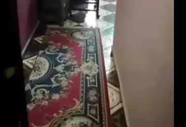 undefined undefined - 3 rooms - floor 1