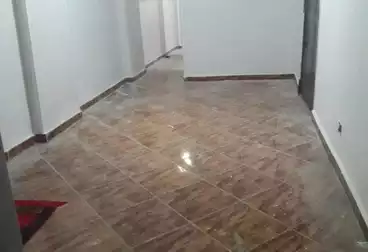 Apartments For rent - 2 rooms - floor 3