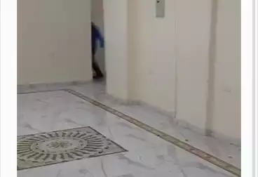 Apartments For rent - 2 rooms - floor 2
