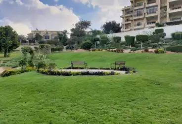 Apartments For sale - 3 rooms - floor 0